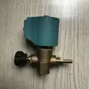 Calentador Eléctrico Caldera de Vapor Accesorios para Plancha Válvula Solenoide de Caldera Piezas Originales 220V/50HZ