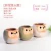 Maceta para pulgar suculenta mini mini maceta para pulgar maceta de cerámica para flores suculentas planta creativa flor pequeña Ma Long mesa Mai Tai Bao