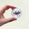 Brinquedo de gato simulado com mosca, bola transparente rolante, autoentretenimento, alivia o tédio, estimula instintos de caça, para brincadeiras interativas internas