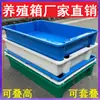 WG6Q Caja de Plástico Grueso para Volteo Rectangular Extra Grande Caja para Piscicultura Tortugas Caja de Goma para Acuicultura Cesta para Tortugas Plástico