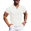 Ropa de Verano para Hombre Estilo Old Money Deportes al Aire Libre Ajuste Delgado Top Casual Texturizado para Hombre Camisa Polo de Manga Corta