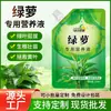 Solución Nutritiva Potos Solución Nutritiva Universal para Plantas Árbol del Dinero Bambú de la Suerte Potos Plantas de Maceta Hidropónicas Flor de Casa Líquido