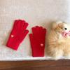 Guantes de lana con bordado de oso lindo de estilo coreano para mujer, gruesos, cálidos, resistentes al frío, para montar a caballo, para estudiantes, para invierno