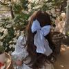 Horquilla de Malla de Hilo Super Hada Youjia 2024 Nueva Sensación de Alta Gama Horquilla con Clip de Primavera Elegante Clip Tiburón Tela para Parte Posterior de la Cabeza