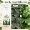 KineShineX Limpiador de Plantas de Seda, Spray para Cuidado de Superficies de Flores Artificiales y Plantas en Maceta, Elimina Rápidamente el Polvo y las Manchas