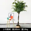 Árvore Banyan Artificial Nórdica Removível Planta Verde Falsa Planta em Vaso Árvore Banyan Interna Bacia Paisagem Shopping Center Hotel Ornamentos de Planta Verde Falsa