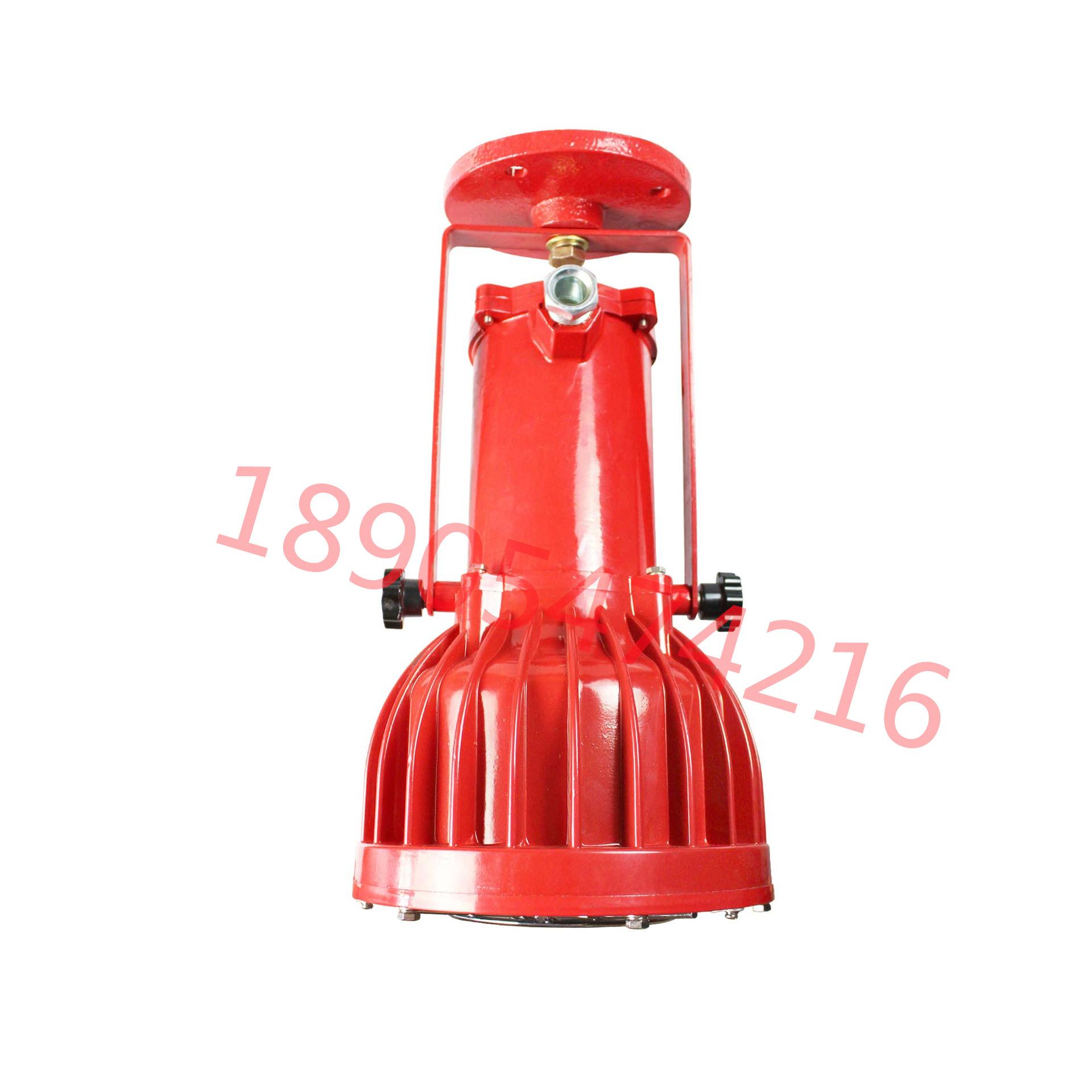 DGS60-127L(A)矿用隔爆型LED投光灯 (3)