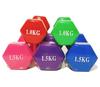 Mancuernas, Mancuernas con Peso, Equipo Sólido de Yoga, Ejercicio y Fitness, Equipo de Hierro Fundido para Adelgazar Brazos para Mujeres, Equipo Hexagonal para Desarrollo Muscular de 1-5 kg