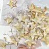 Estrela-do-mar Acrílica Concha Contas Bicolores Nuvens Borradas Pérolas de Formato Especial Acessórios Artesanais DIY Pulseira Colar Cabelo
