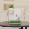 Acuario de Plástico para el Hogar, Tanque No Reflectante para Peces Dorados, Acuario Multifuncional, Mini Tanque para Guardar Peces Ornamentales Acrílicos
