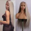 Amazon transfronterizo nueva moda europea y americana peluca gris de cabello largo lacio estilo encaje frontal peluca cobertura completa de cabeza