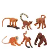 Set de 6 Figuras de Monos Miniatura Figuras de Monos Salvajes de PVC Colección Incluye Gibón Lémur y Otras Posturas de Mono Perfecto para Juguetes Infantiles Decora