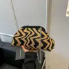 Bolso de Diseño de Nicho con Bloques de Color para Mujer 2026 Primavera/Verano Nuevo Bolso de Cadena Tejido Versátil Bolso de Hombro Cruzado