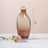 Vaso de Vidro Colorido Fresco Nórdico Vaso Pequeno Criativo para Mesa de Escritório Luxo Leve Simples Garrafa de Aromaterapia Fabricante Venda no Atacado