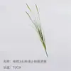 Simulação de Grama Cauda de Cachorro Hairy Cordyceps Flor de Renda Planta Verde Artificial Decoração Paisagem