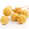 Materiais de Flores Secas Galhos Bolotas Pinhas Algodão Vagens de Lótus Jardim de Infância Artesanato Velas Aromáticas Fatias Decoração Adereços para Fotos