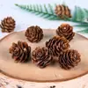 Pacote de Material DIY Feito à Mão Pequeno Buquê Flores Preservadas Flores Secas Decoração de Sala de Estar Ornamento Adereços de Casamento Lembrança para Fotos