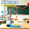 Simulador de respiración pulmonar DIY, circulación sanguínea, modelo de corazón humano casero, modelo biológico de unidad renal, material didáctico
