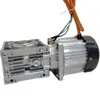Motor sem escovas CC 24V Triciclo Elétrico 48V Veículo Esteira Bomba Pulverizadora Máquina de Limpeza Modificação Redutor 60V