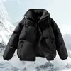 2026 En stock transfronterizo estilo minimalista color liso cuello alto chaqueta de algodón para hombre, nueva versión coreana de invierno, moderna y de corte holgado