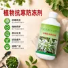 Agente anti-congelante e resistente ao frio para plantas, especializado para flores, plantas, vegetais e árvores frutíferas, resistente ao frio, resistente à seca, líquido anti-congelante, fertilizante foliar