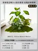 Musgo para Paisajismo de Plantas Verdes Plantas Artificiales Decoración Flores Artificiales Combinación Tropical para Interiores Paisaje de Ventana Persa Arreglo de Césped