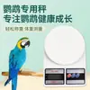 Balanza de Peso para Loro Mascota Cacatúa Periquito Balanza de Peso Dispositivo de Pesaje de Leche en Polvo para Alimento Peso Hámster Chinchilla Balanza Electrónica