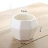Maceta de Porcelana Blanca Carnosa Simple Creativa Blanca para Interior Planta en Maceta Diámetro Grande Maceta para Flores Carnosas