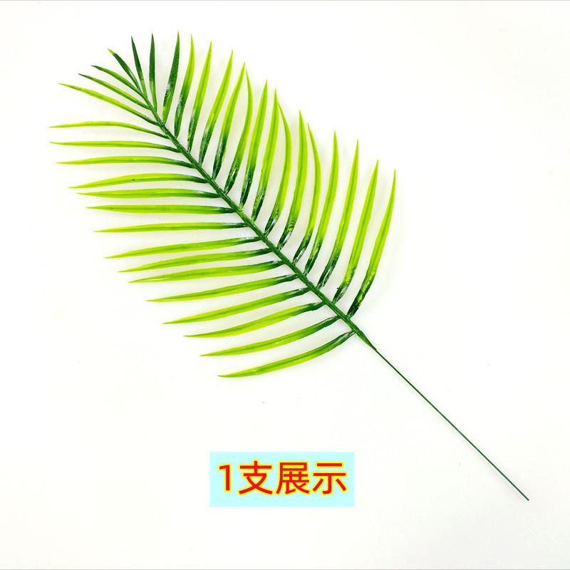 详情6.jpg