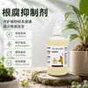 Inibidor de podridão radicular tombamento podridão radicular podridão da base do caule planta morta muda atrofiada crescimento radicular rápido purificar solo resistência a doenças fertilizante solúvel em água