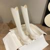 Botas de Invierno para Mujeres Bajitas, Botas Delgadas de Boca en V Forradas de Felpa, Botas de Caballero Delgadas de Tacón Alto, Botas de Suela Gruesa con Aumento Interno de Altura