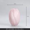 Estilo Ins Simples Retrô Antigo Vaso de Vidro Hidropônico Flor Flor Aparelho de Flores Decoração de Casa Desktop Adereços Decorativos