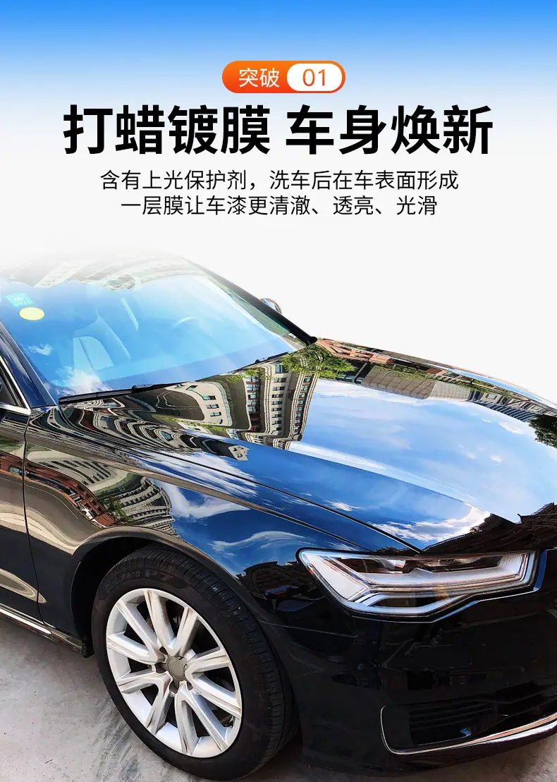 金棕蜡详情_07.jpg