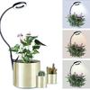 Luz LED para Planta em Vaso, Luz para Planta, Luz LED, Luz de Tubo Flexível com Clipe para Vaso de Flor, Luz para Suporte de Flor, Luz LED Completa para Planta