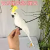 Casa de Pájaro Tejida Creativa para Mascotas Colgante Nido de Pájaro de Hierba Tejida Hecho a Mano Arreglo de Entorno para Jardín de Infancia Adorno Colgante Aéreo Balcón Pastoral