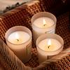 Adornos con estilo, atmósfera, aromaterapia, vela de soja, vela decorativa de vidrio, regalo de mano, planta, vela de aromaterapia.