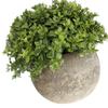 Plantas Simuladas Lágrimas de Bebé Bonsái Hogar Escandinavo Sala de Estar Estudio Adornos Cafetería Bar Bola de Césped Artificial Plantas en Maceta