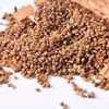 Nuevo arroz de trigo sarraceno negro de Yunnan arroz de trigo sarraceno crudo cereal de arroz papilla granos gruesos arroz al por mayor a granel vacío grano de trigo sarraceno