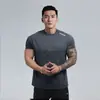 Nova Camiseta de Gola Redonda Plus Size de Verão Shell Macio Clone Algodão Caimento Manga Curta Antirrugas Secagem Rápida Respirável Fitness Masculino