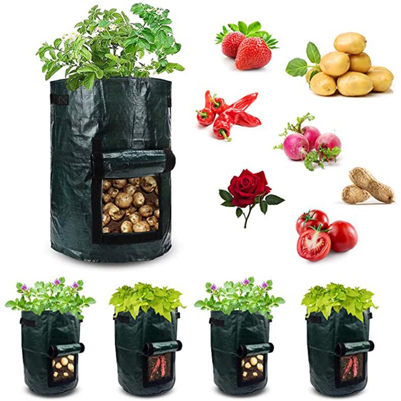 81he-C7uIQS._AC_SX679_