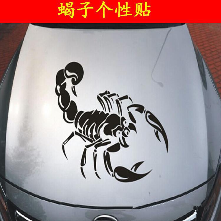 蝎子主图1