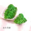 Pacote de Material de Flores Secas Espécime Jardim de Infância Casca de Fruta Caseira Flor Seca Bolota Porta-Retrato Espécime Pinha Porta-Retrato DIY Feito à Mão