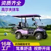 Carrito de Golf Eléctrico Coche Turístico Autobús Lanzadera Turística para Lugares Escénicos de Hotel Coche para Ver Propiedades Carrito de Golf