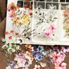 50 piezas de pegatinas PET de flor de tinta con gota de pegamento material para funda de teléfono móvil decoración de laptop pegatinas impermeables diy