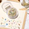 Japonês Ins Estilo Nail Art Flor Seca Misturado Romântico Pequena Flor Floral Cor Misturada Diy Material All-match Jóias do Prego