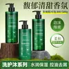 Shampoo e Gel de Banho Específicos do Hotel, Shampoo Espumante e Fragrante, Condicionador, Conjunto de Shampoo e Cuidados para o Banho no Atacado