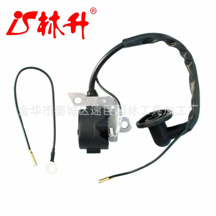 Ignition Module Coil Assembly
