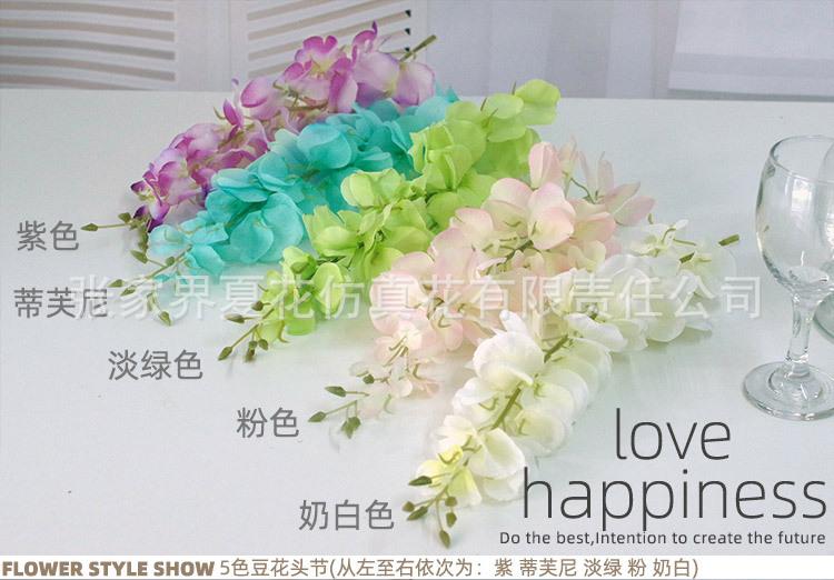 3头豆花紫藤_12.jpg