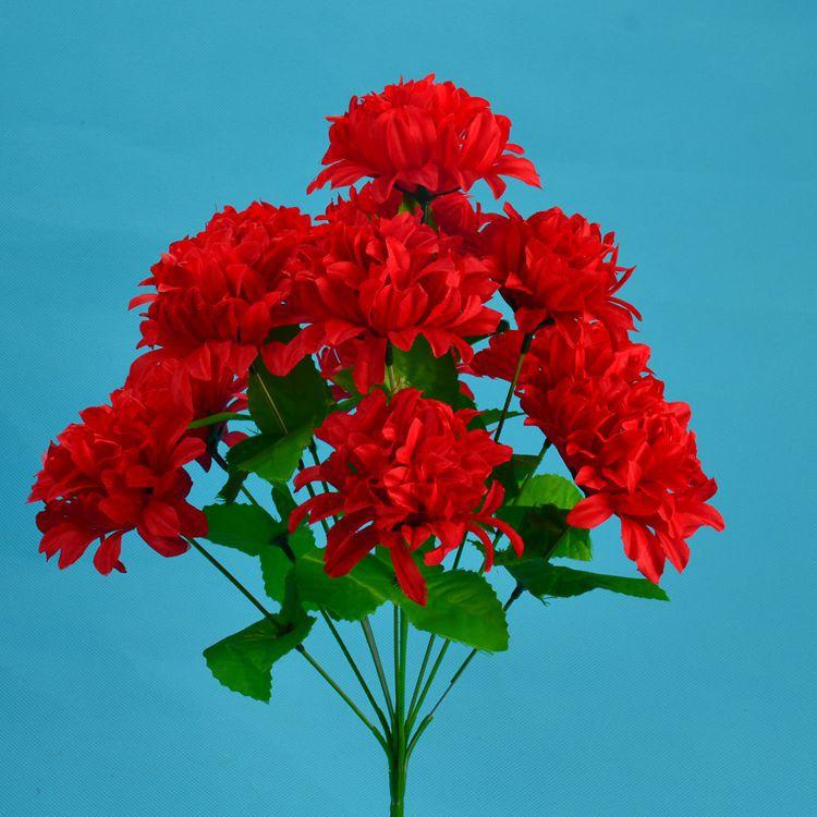 12头爪菊16.jpg
