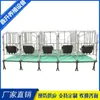 Fabricante de equipos para porcicultura suministra corrales de posicionamiento automatizados para cría y engorde, corrales de limitación para cerdas